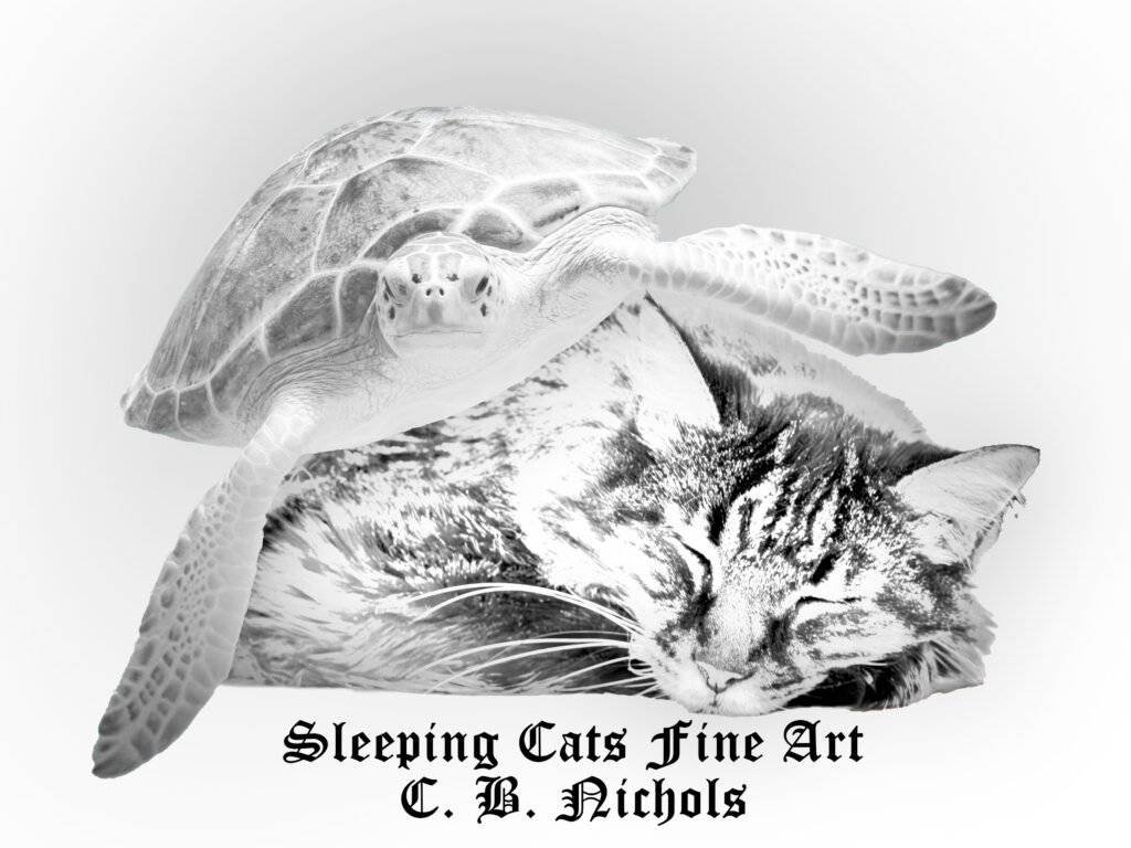 Logo Sleeping Cats Fine Art, Logo